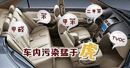 車內(nèi)甲醛正常值以及車內(nèi)放什么東西可以除甲醛？